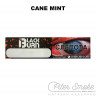 Табак Black Burn - Cane Mint (Тростниковая мята) 25 гр Табак Black Burn - Cane Mint (Тростниковая мята) 25 гр